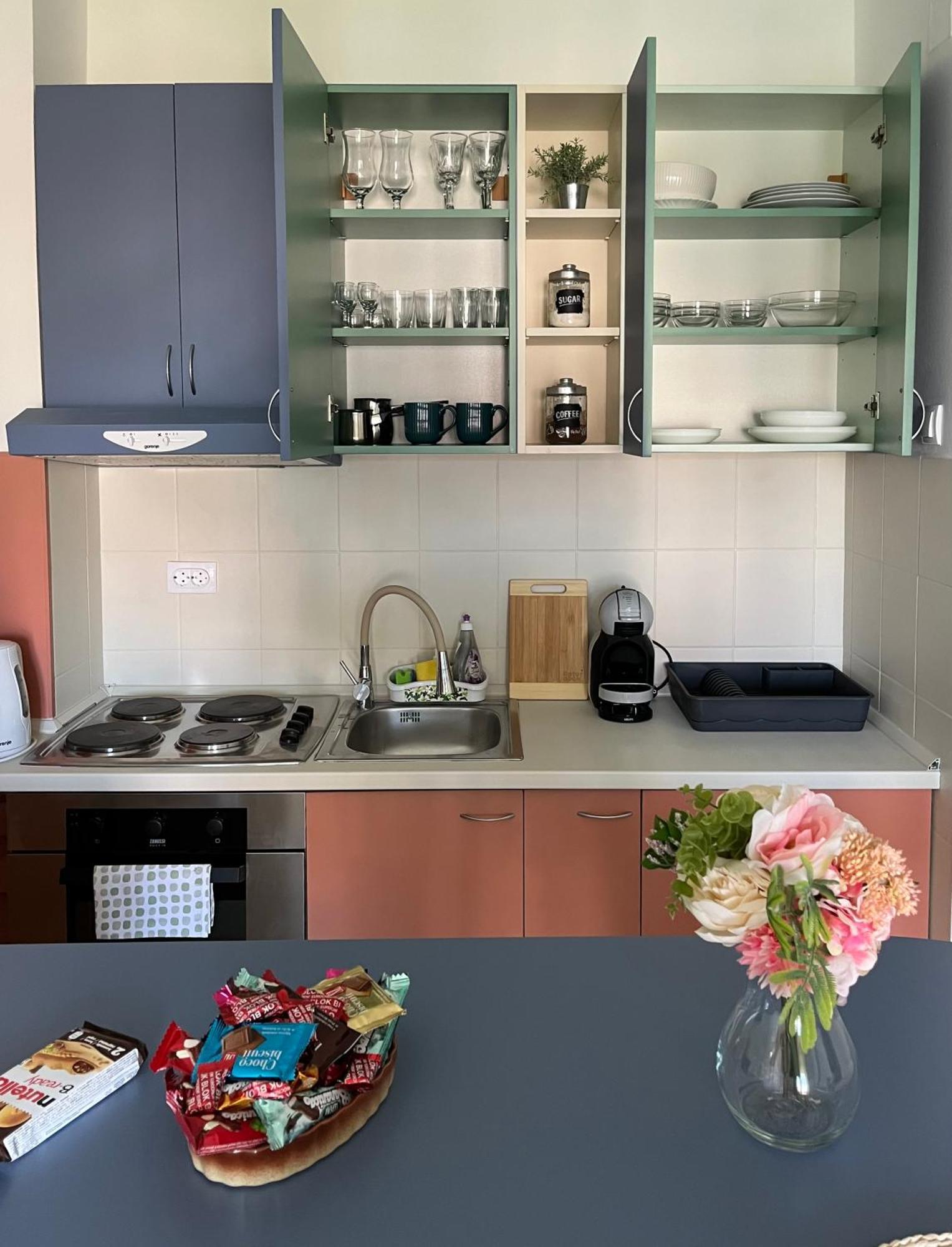 Apartment Vera With Free Garage نوفي ساد المظهر الخارجي الصورة